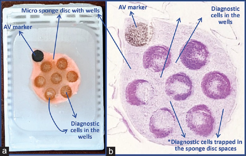 Figure 25