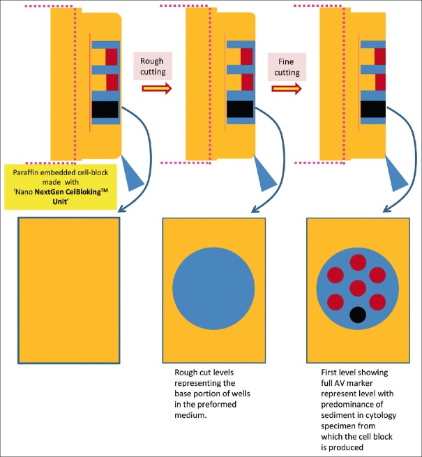 Figure 20