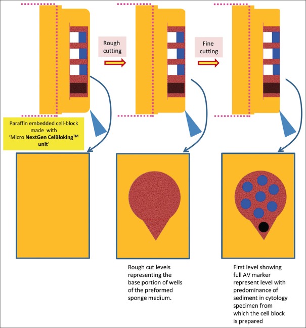 Figure 24