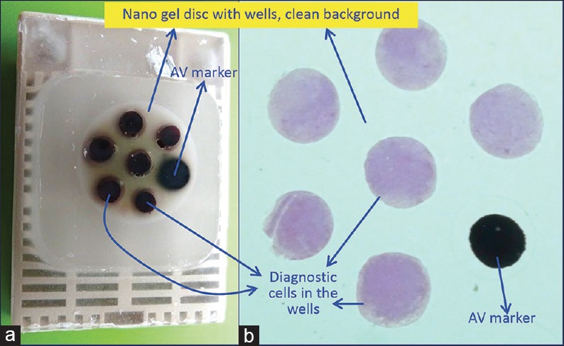 Figure 21