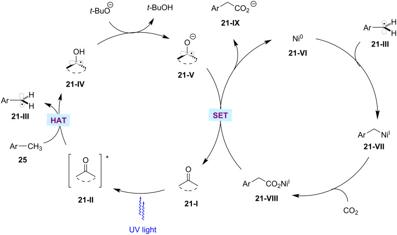 Figure 21