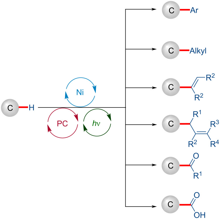 Scheme 50