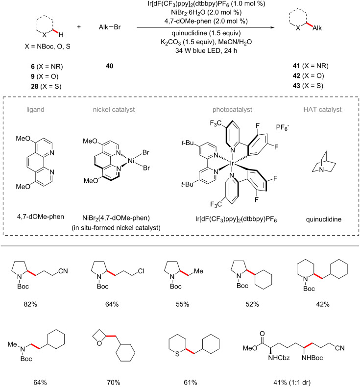 Scheme 23