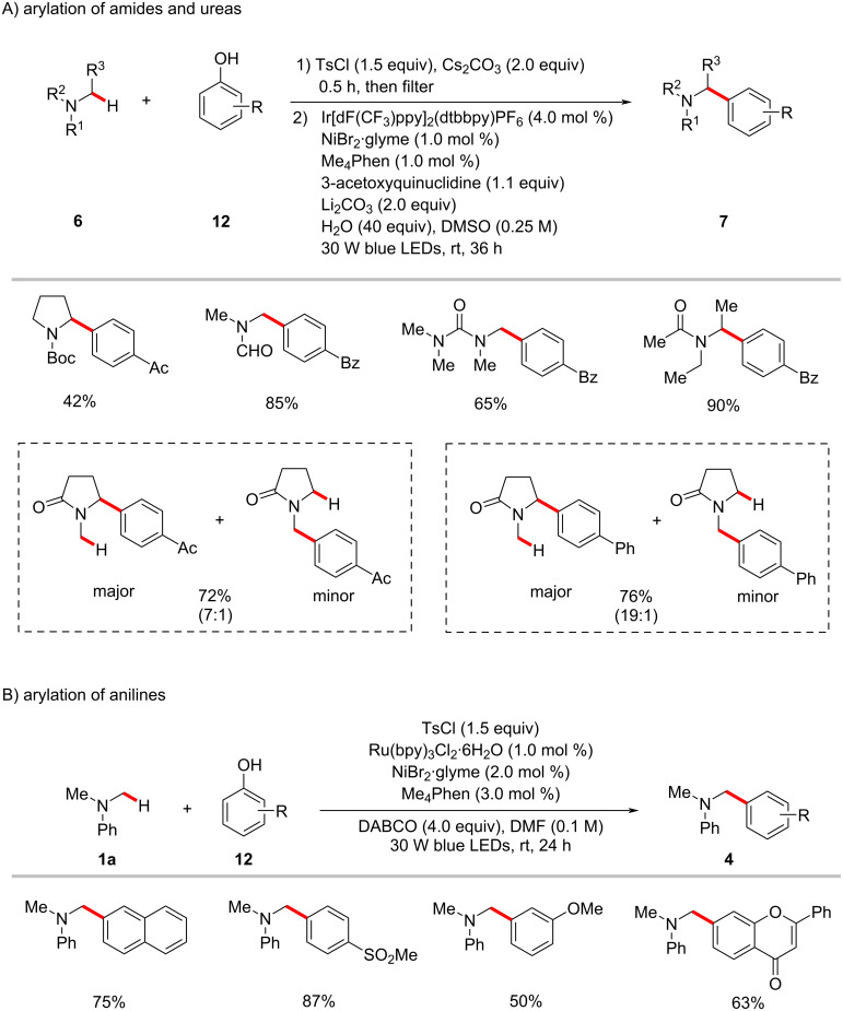 Scheme 8