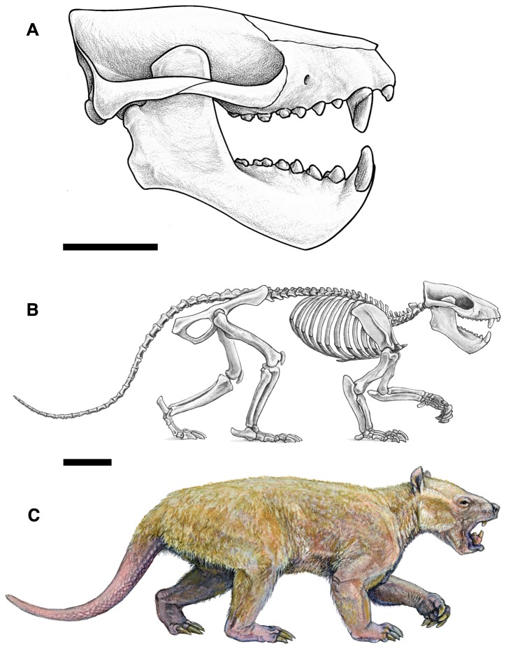 Figure 15