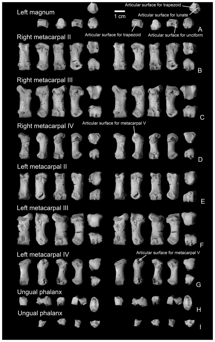 Figure 11