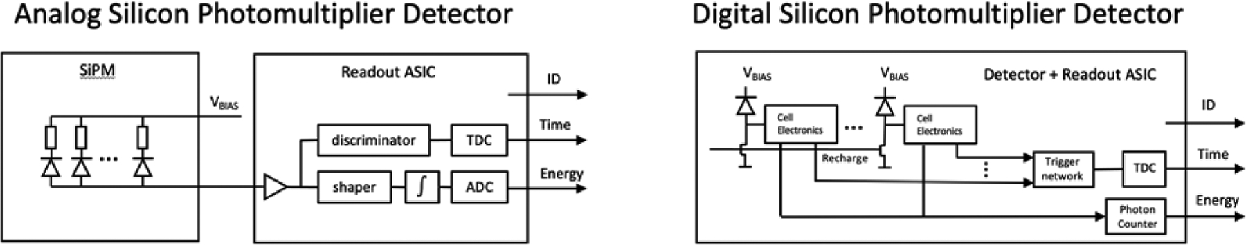 Figure 12.