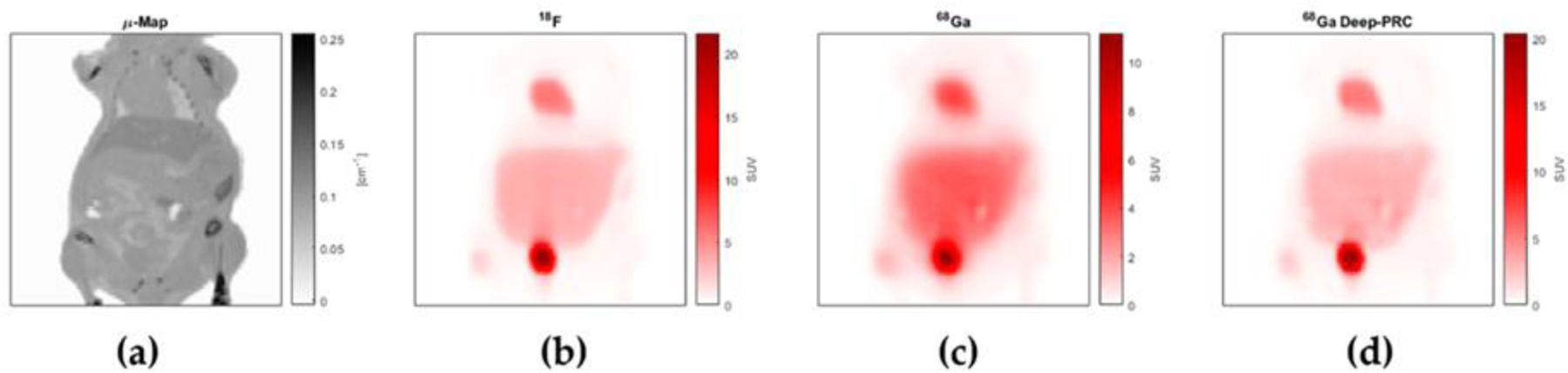 Figure 19.