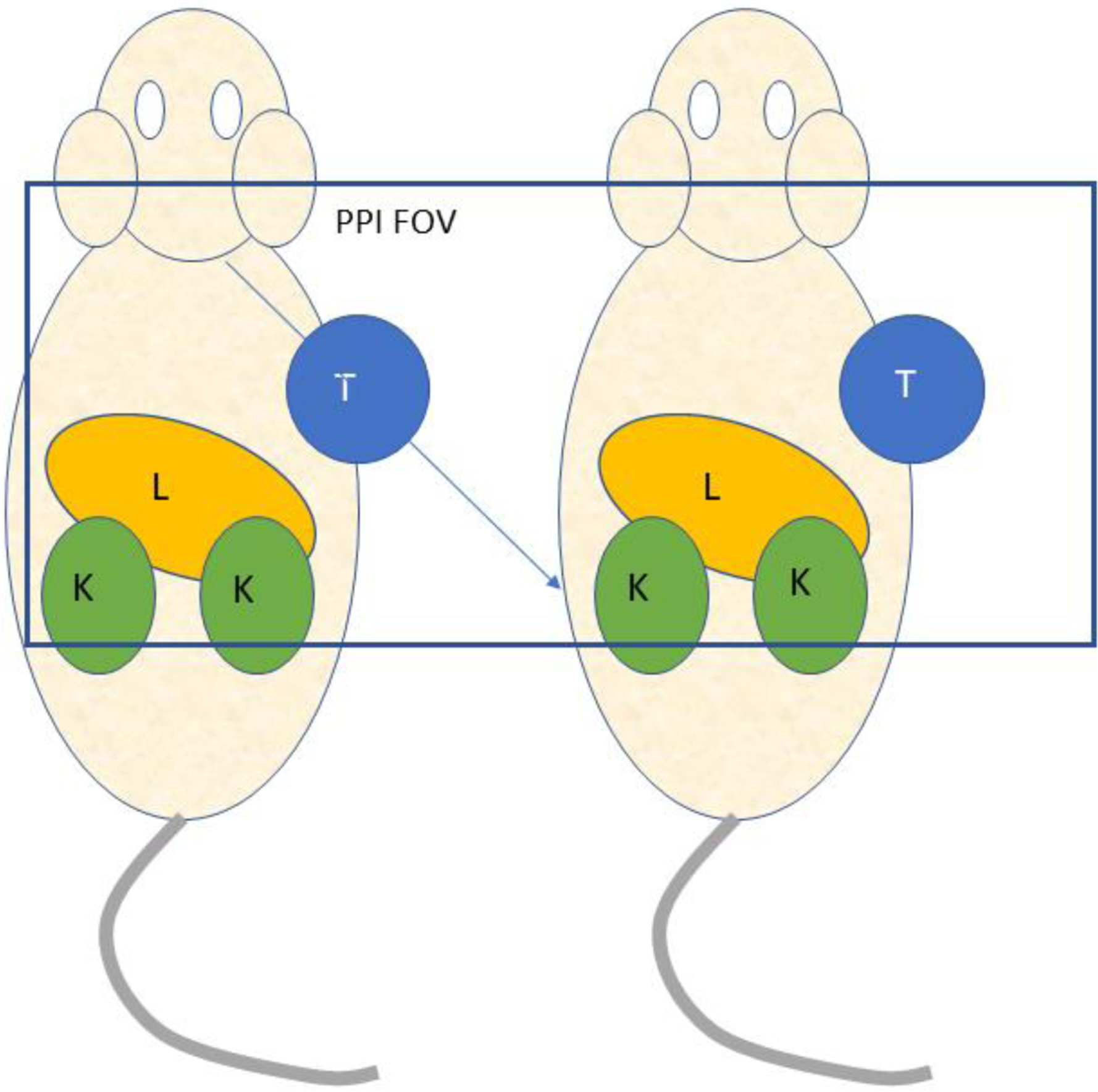 Figure 20.