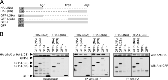 FIG. 7.