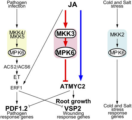 Figure 7.