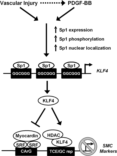 Fig. 8.