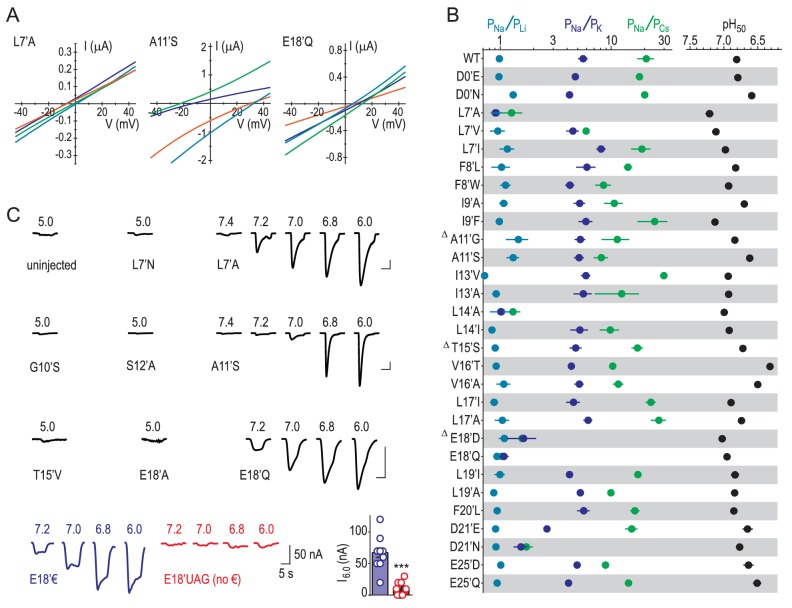 Figure 4—figure supplement 1.