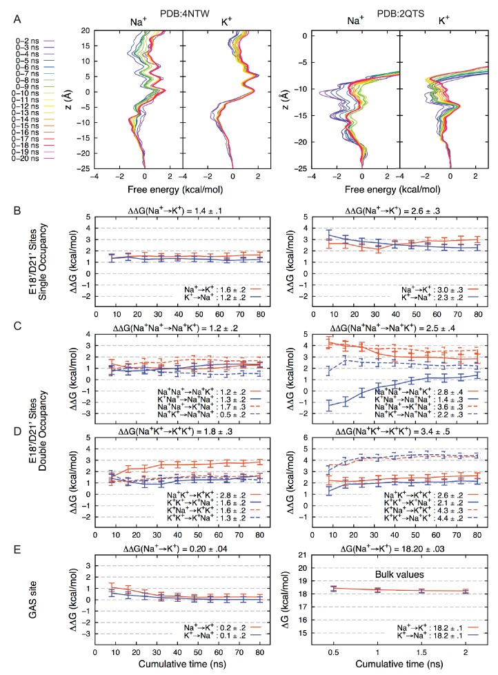 Figure 2—figure supplement 1.