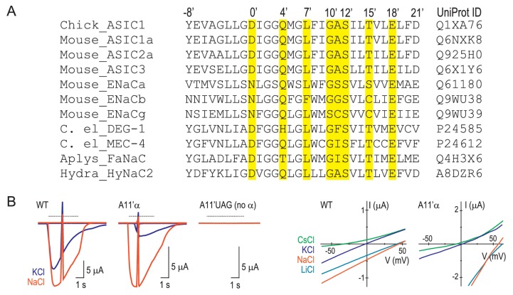 Figure 1—figure supplement 1.