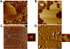 Figure 3: