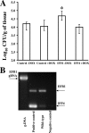 FIG. 6.