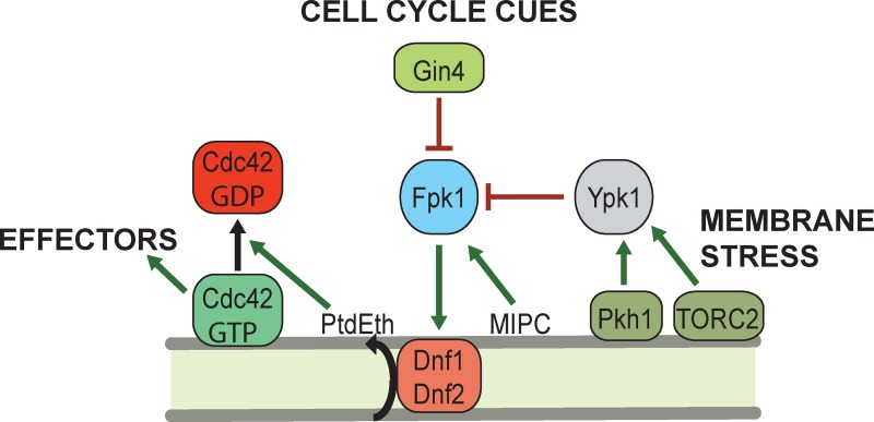 Figure 7.