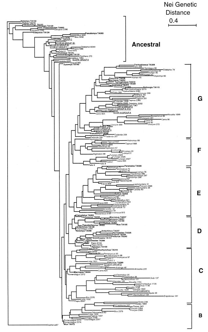 FIG. 1