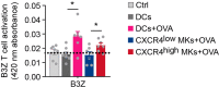 Figure 3—figure supplement 2.