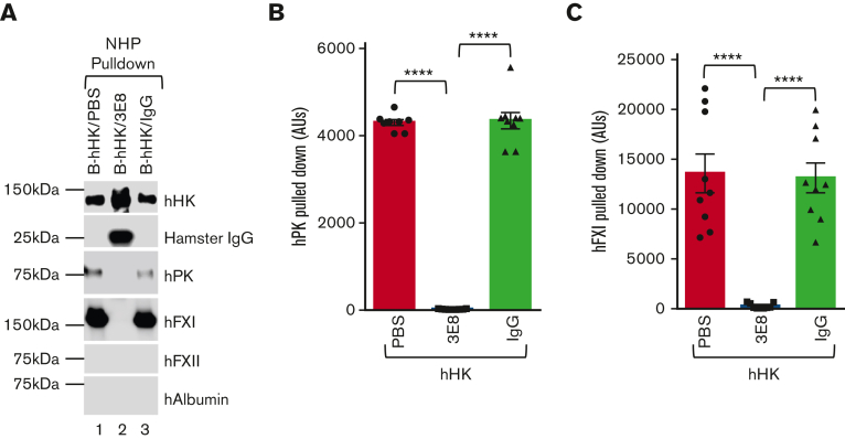 Figure 6.