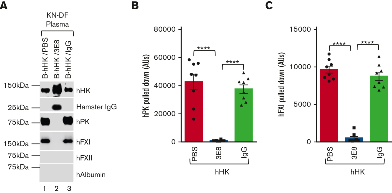 Figure 4.