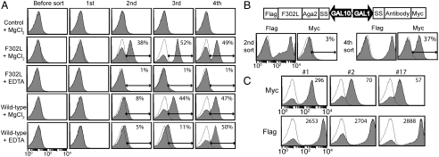 Fig. 3.