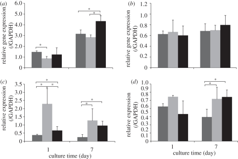 Figure 11.