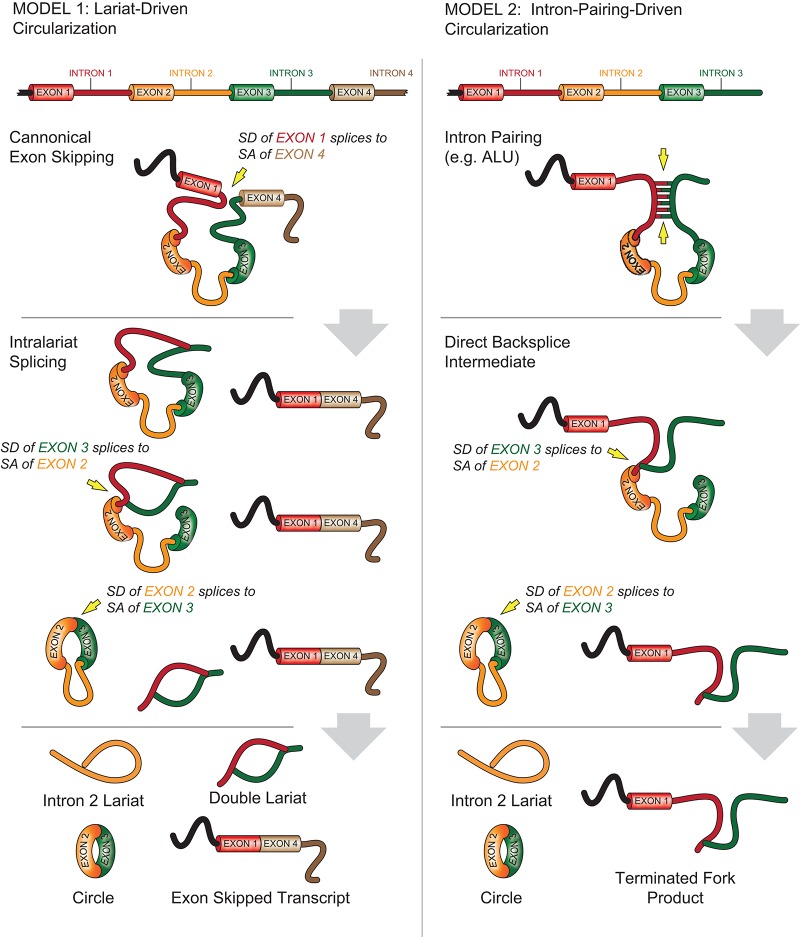 FIGURE 10.