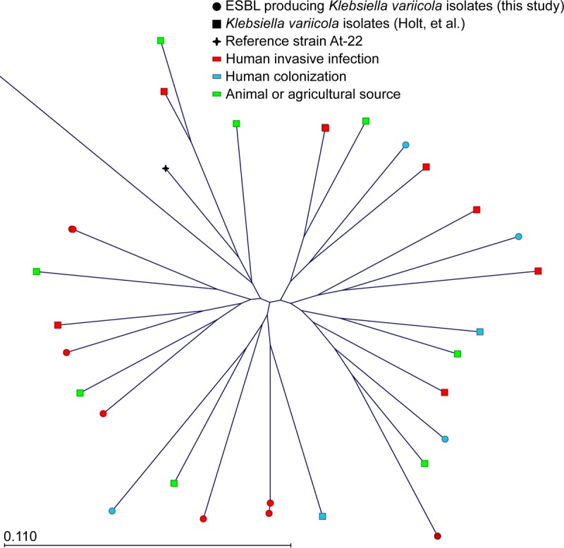 FIG 3 