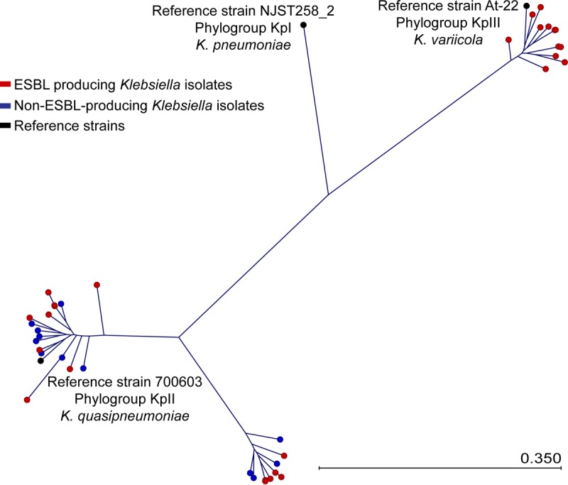 FIG 1 