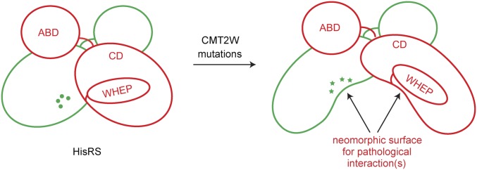 Fig. 6.