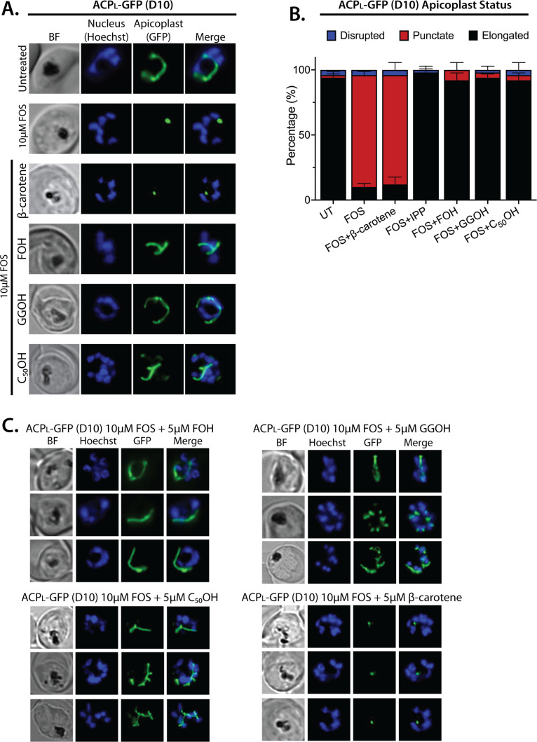 Figure 4—figure supplement 3.