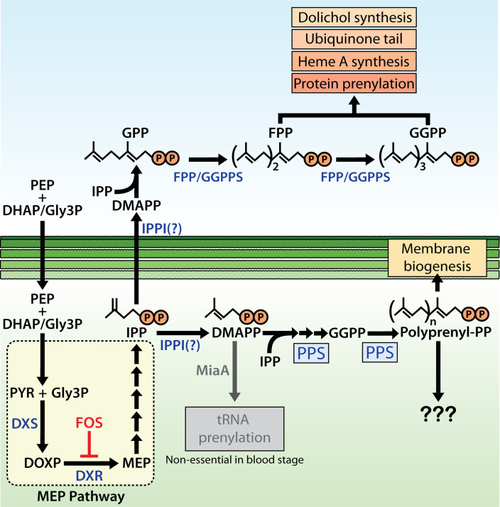 Figure 9.