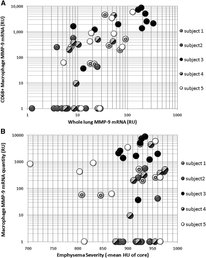 The Role Of Matrix Metalloproteinase 9 In Cigarette Smoke Induced