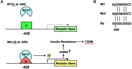 Figure  6