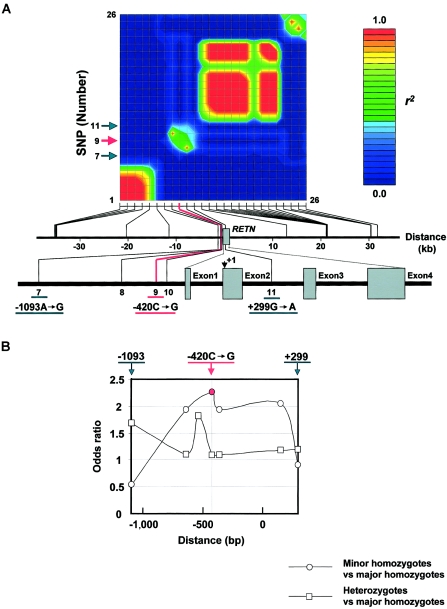 Figure  1