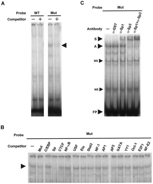 Figure  2