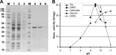 FIGURE 9.