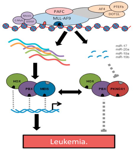 graphic file with name nihms781793u1.jpg