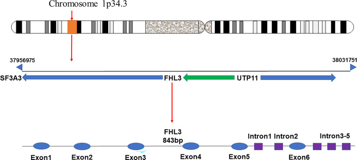 Figure 1