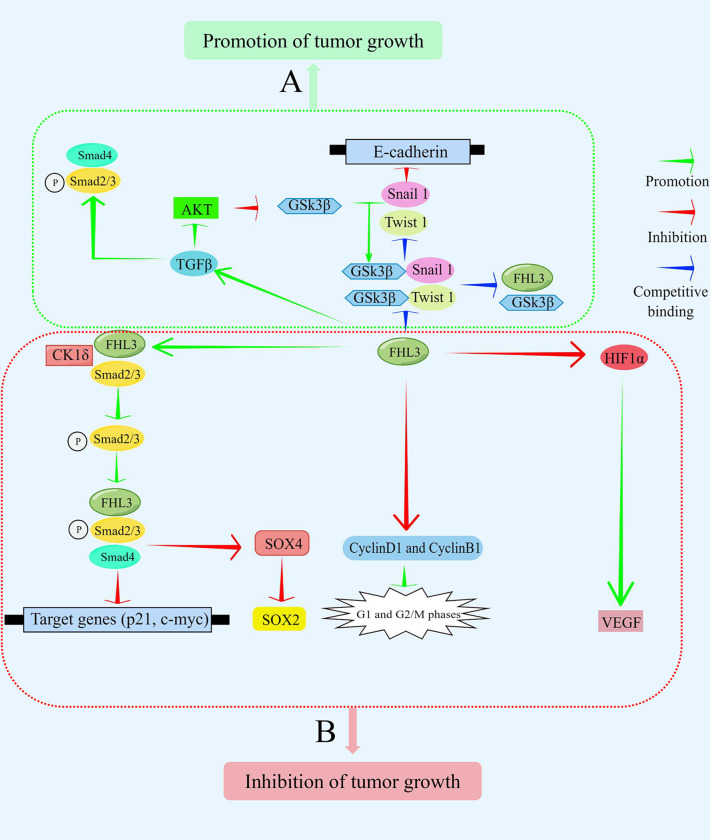 Figure 3