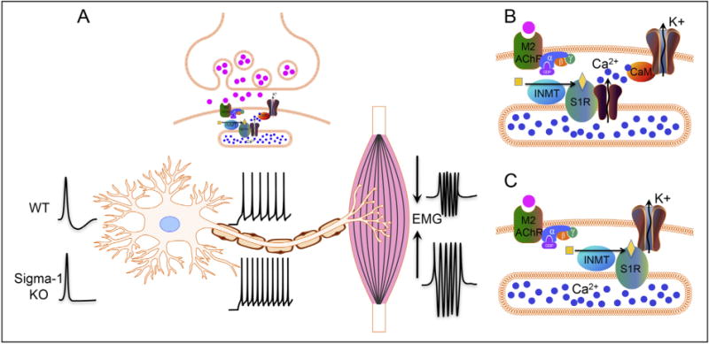 Fig. 3