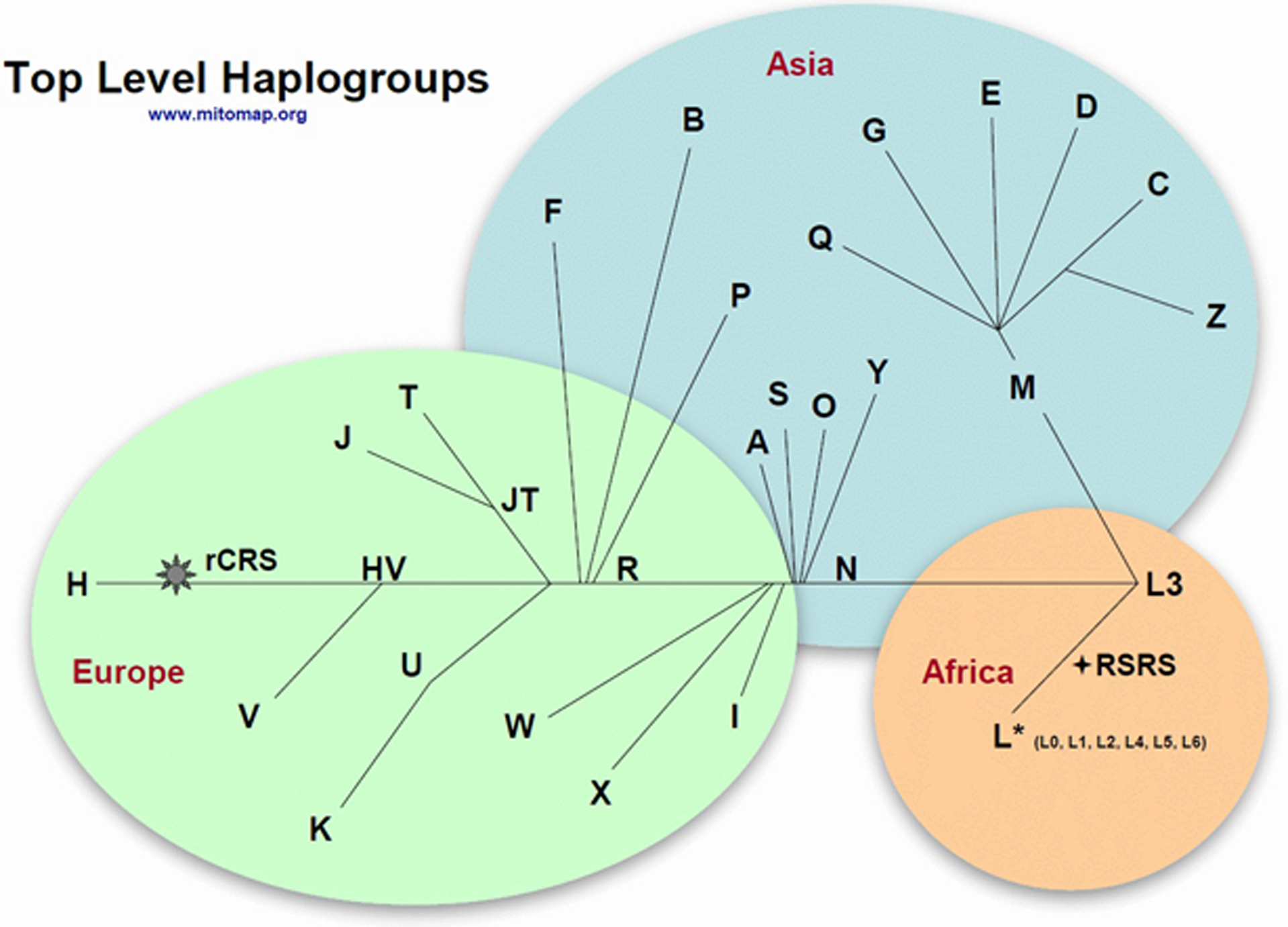 Figure 1: