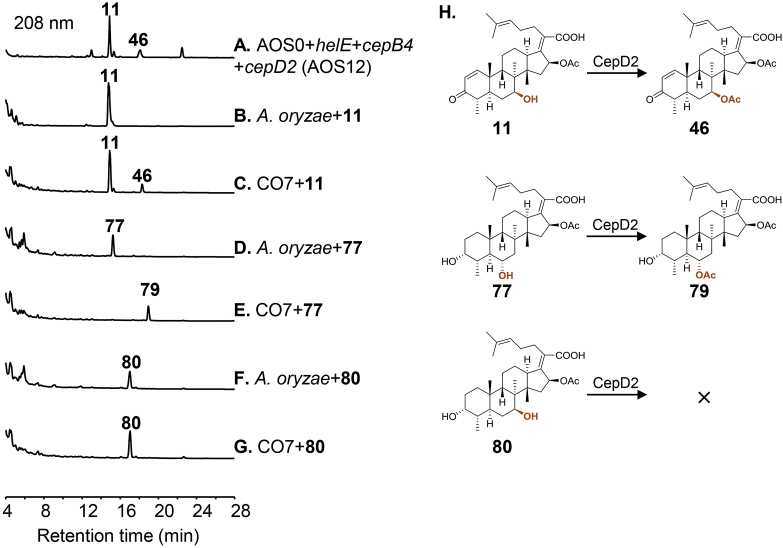 Figure 5