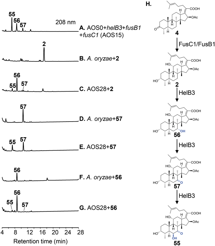 Figure 3