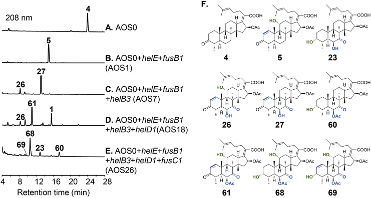 Figure 2