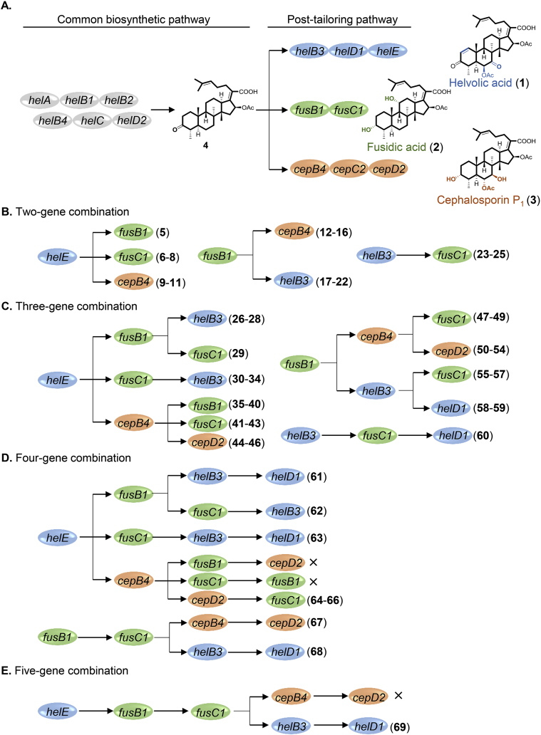 Figure 1