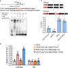 Figure 6