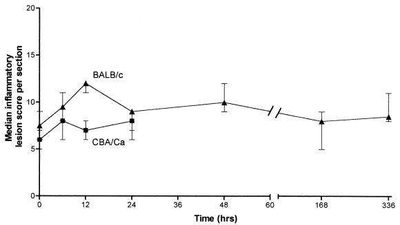 FIG. 7